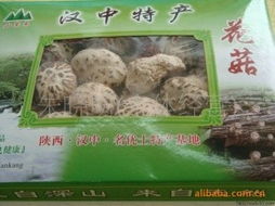朱晓明 食用菌产品列表